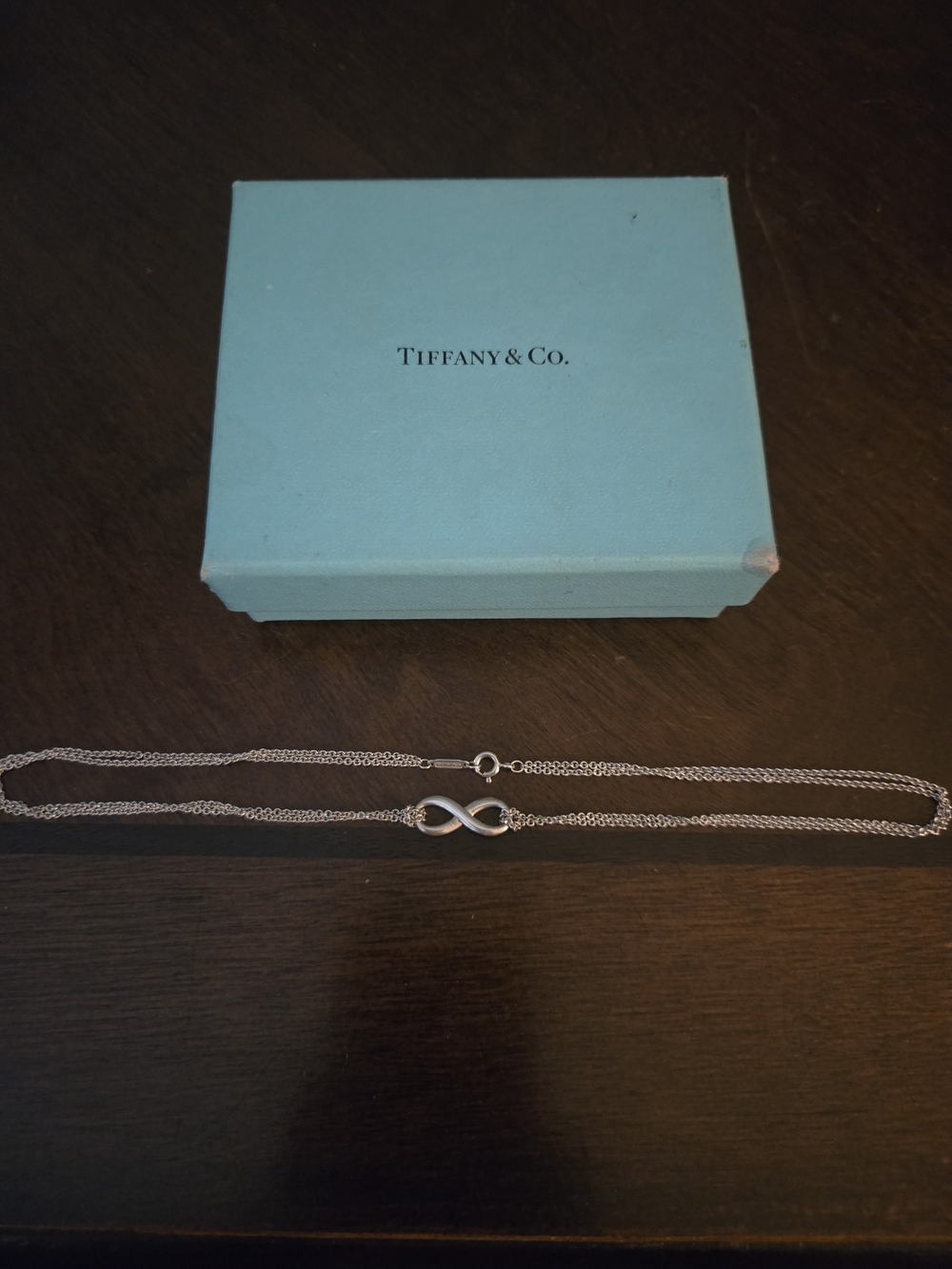 Tiffany & Co. Silver Infinity Double Chain Necklace